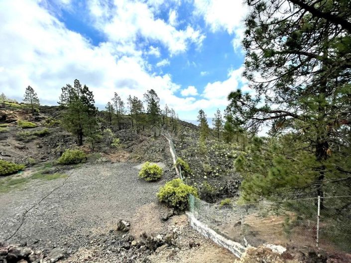 Image No.20-Terre à vendre à Guia de Isora