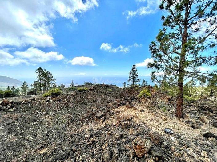 Image No.9-Terre à vendre à Guia de Isora