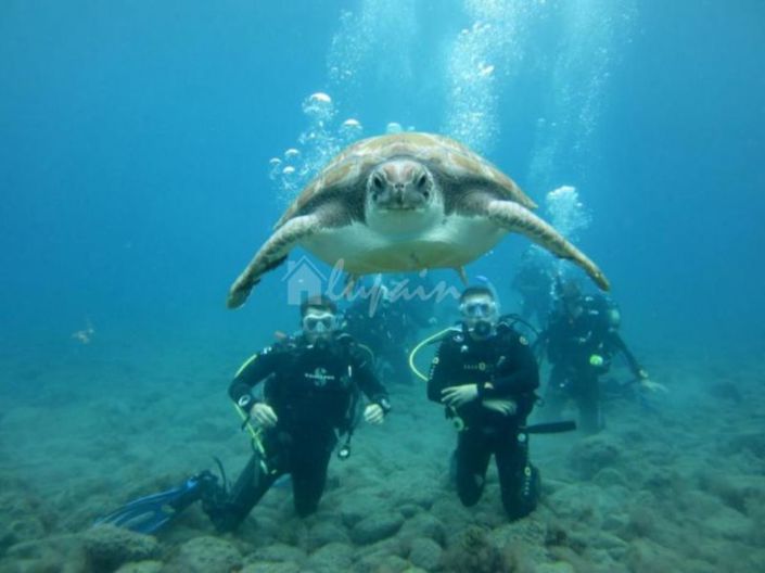 Image No.5-4 Bed Villa for sale