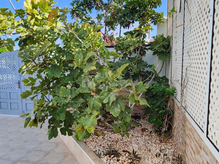 Image No.34-Villa de 3 chambres à vendre à Costa del Silencio