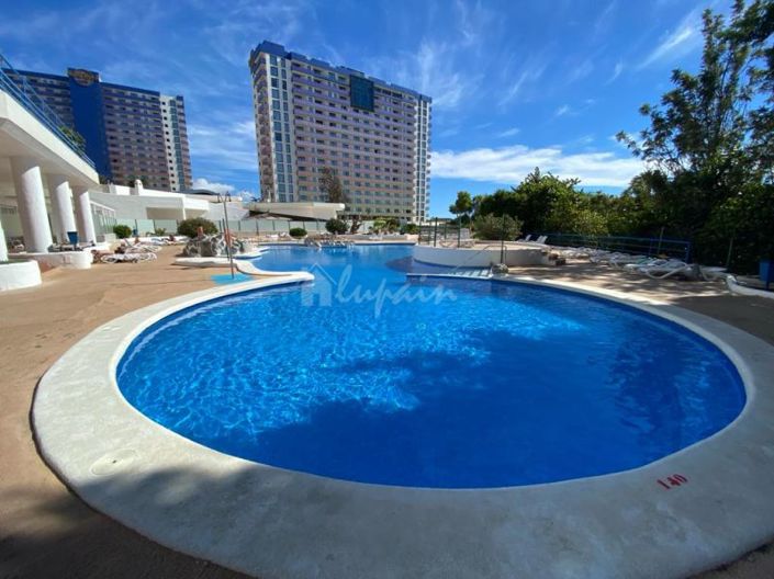 Image No.26-Studio à vendre à Playa Paraiso