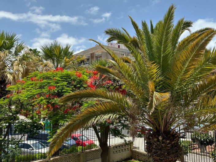 Image No.21-1 Bed Apartment for sale