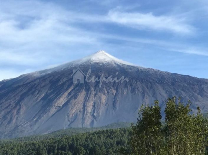 Image No.2-Commercial à vendre à Costa Adeje