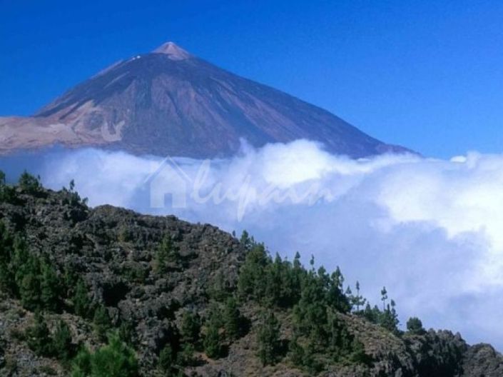 Image No.3-Commercial à vendre à Costa Adeje