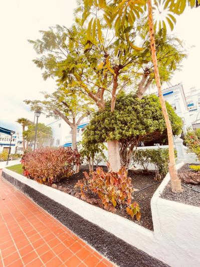 Image No.32-Appartement de 1 chambre à vendre à Arona