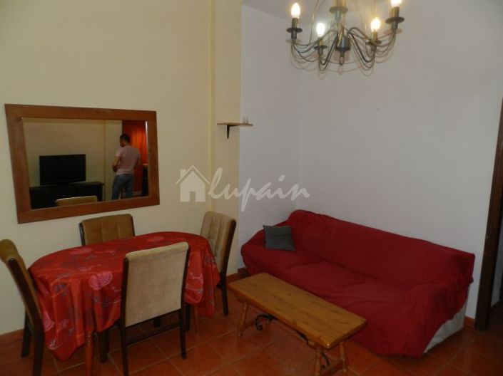 Image No.7-Finca de 7 chambres à vendre à Guargacho