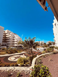 originalwhatsapp-image-2024-09-20-at-13-10-32