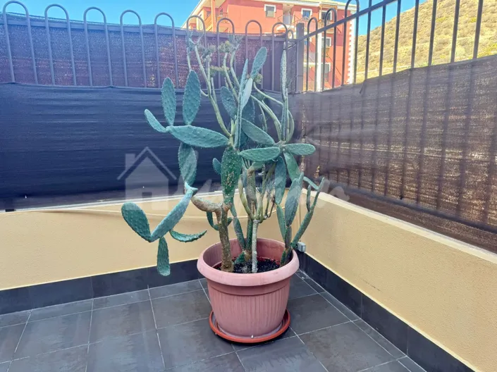 Image No.25-Appartement de 1 chambre à vendre à Palm Mar