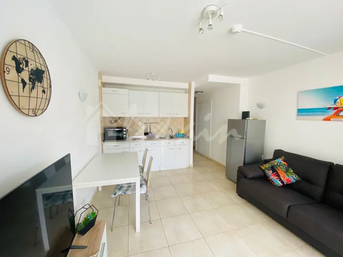 Image No.4-Appartement de 1 chambre à vendre à Playa de las Americas