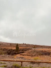 originalwhatsapp-image-2025-03-25-at-13-01-17