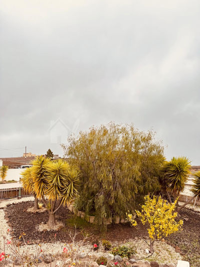 Image No.4-Maison de campagne de 4 chambres à vendre à Vilaflor