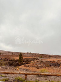 originalwhatsapp-image-2025-03-25-at-13-01-17