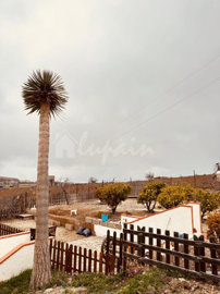 originalwhatsapp-image-2025-03-25-at-13-01-19