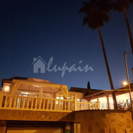 originalphoto-2025-04-01-13-44-2367ee969f47fb