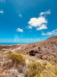 original6633f27f-0f24-4af1-95ee-d79cefa496646