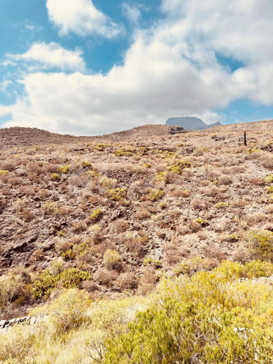 Image No.28-3 Bed Townhouse for sale