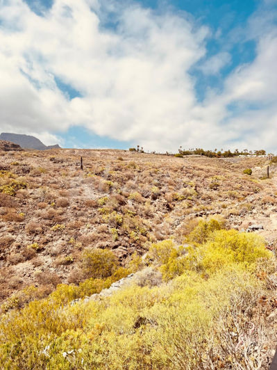 Image No.29-3 Bed Townhouse for sale