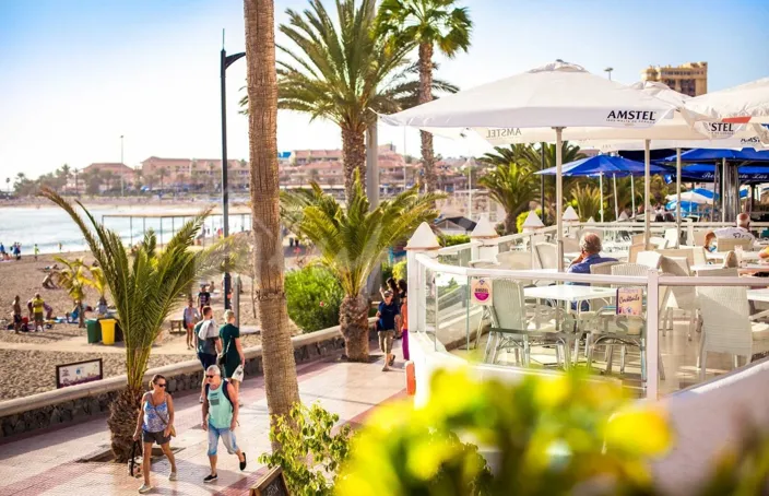 Image No.34-Commercial de 5 chambres à vendre à Los Cristianos