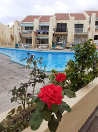Lupain Tenerife Estate Agents most sold property