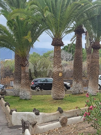 Image No.4-3 Bed Apartment for sale