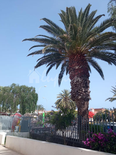 Image No.37-2 Bed Apartment for sale