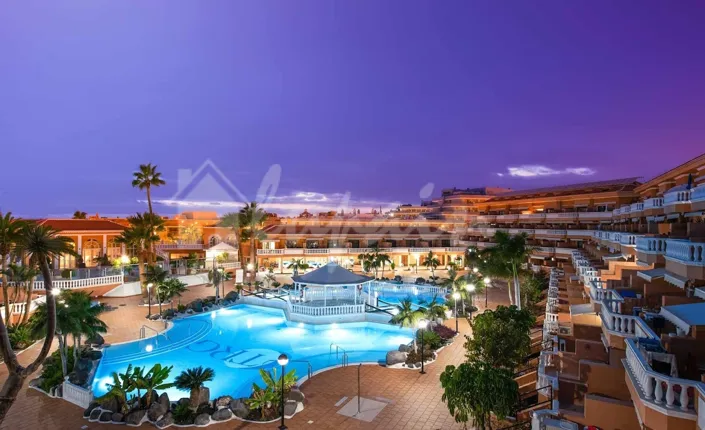 Image No.2-Studio à vendre à Playa de las Americas