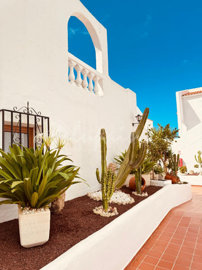 originalwhatsapp-image-2025-09-26-at-12-36-25