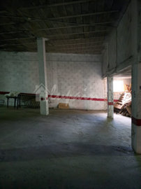 originalwhatsapp-image-2025-09-24-at-17-46-02