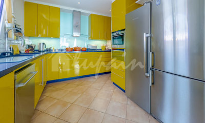 originalduquesa-2-2368dd30c794701