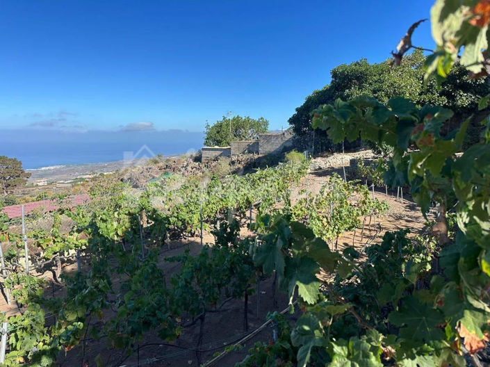 Image No.48-3 Bed Villa for sale