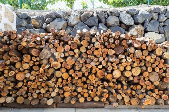 Image No.19-2 Bed Finca for sale