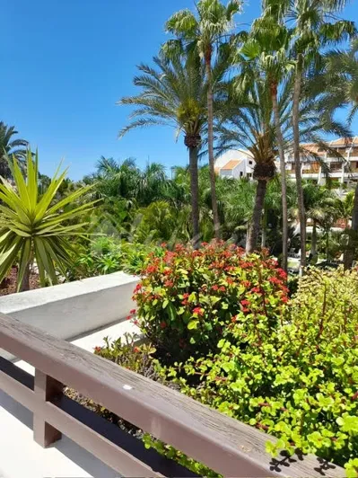 Image No.3-Studio for sale