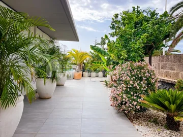 original1669021913d1d41jpg