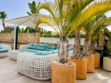 original9690218600f388