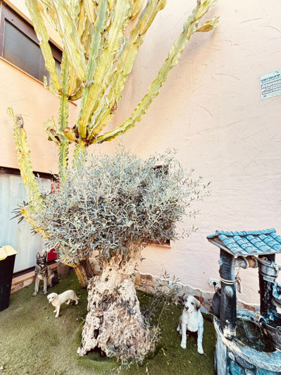 Image No.30-3 Bed Villa for sale