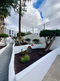 originalwhatsapp-image-2025-12-08-at-10-21-46