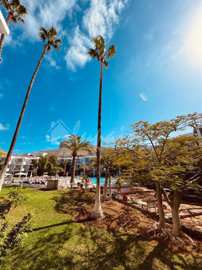 originalwhatsapp-image-2026-01-26-at-13-27-47