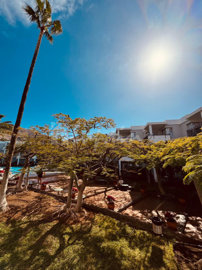 originalwhatsapp-image-2026-01-26-at-13-27-47