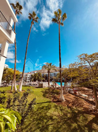 originalwhatsapp-image-2026-01-26-at-13-27-47