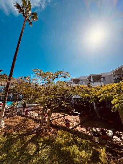 Image No.4-1 Bed Apartment for sale