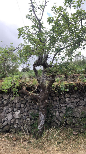 Image No.23-Land for sale