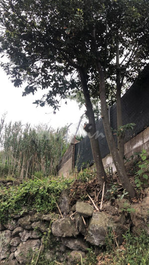 Image No.24-Land for sale