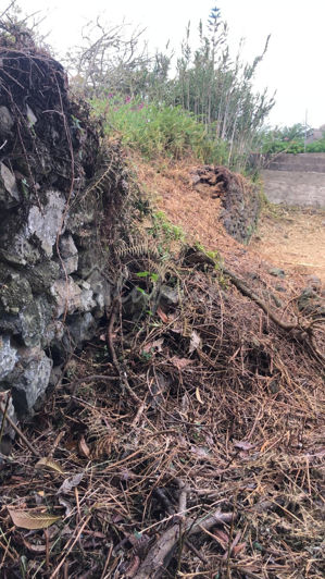 Image No.28-Land for sale