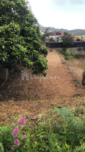 Image No.3-Land for sale