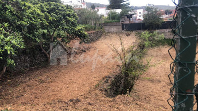 originalwhatsapp-image-2025-05-08-at-13-00-16