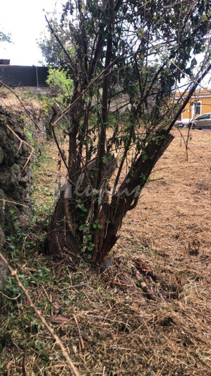 Image No.9-Land for sale