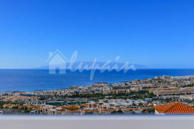 originalwhatsapp-image-2026-01-15-at-16-51-49