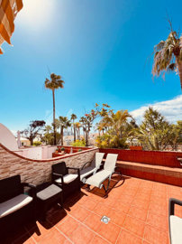 1 - The Palms, Bungalow