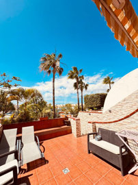 originalwhatsapp-image-2026-03-11-at-11-01-47