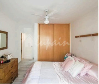 originalwhatsapp-image-2026-03-19-at-15-12-31